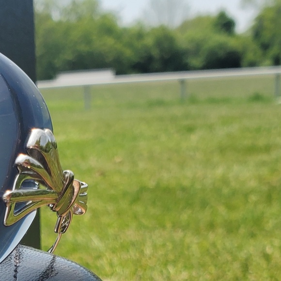 CHANEL (BOW) SUNGLASSES - Picture 6 of 12